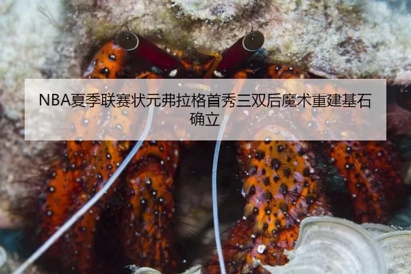 NBA夏季联赛状元弗拉格首秀三双后魔术重建基石确立